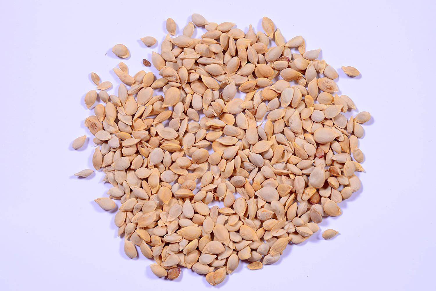 果物 TM VibeX ™ XII-1573 Rare Red Lemon Tree Seeds High Survival Rate