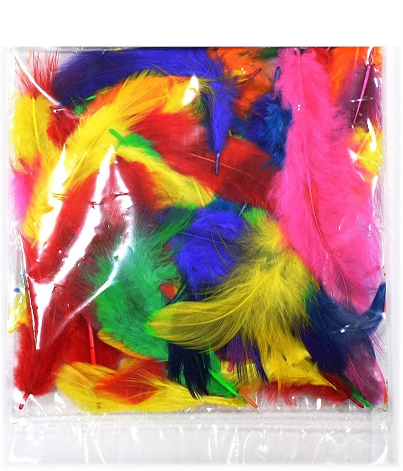 Adhvik Natural Dyed Multi-Purpose Craft Feathers (80pc Approx) for Art & Craftworks