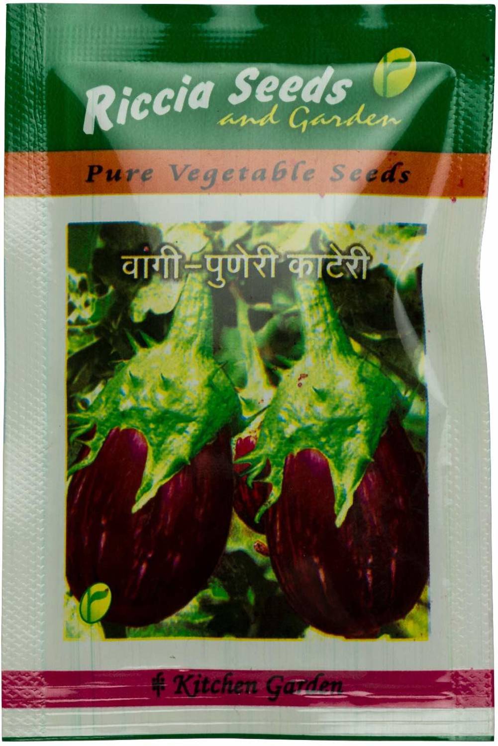 ActrovaX Brinjal (Eggplant/Vangi) - Puneri Kateri - Non-GMO Vegetable [1gm Seeds] Seed