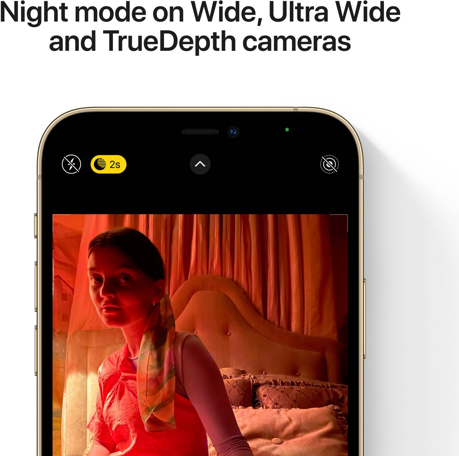 Apple iPhone 12 Pro (256 GB Storage) Online at Best Price On