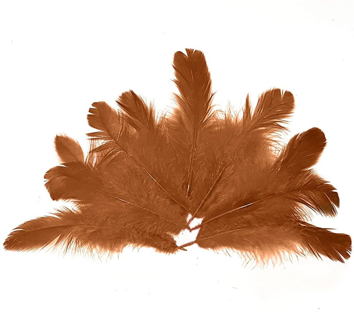 Adhvik Natural Dyed Brown Multi-Purpose Craft Feathers (Approximately 80pc) for Dream Catcher Artificial Jewelry Making Art & Craftworks Decorations Diy Hobby Crafts Kids Projectworks Scrapbooking