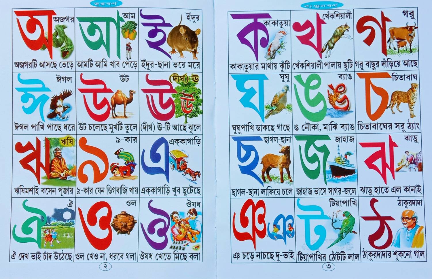 Bengali Alphabet Recognition For Nursery Kid's