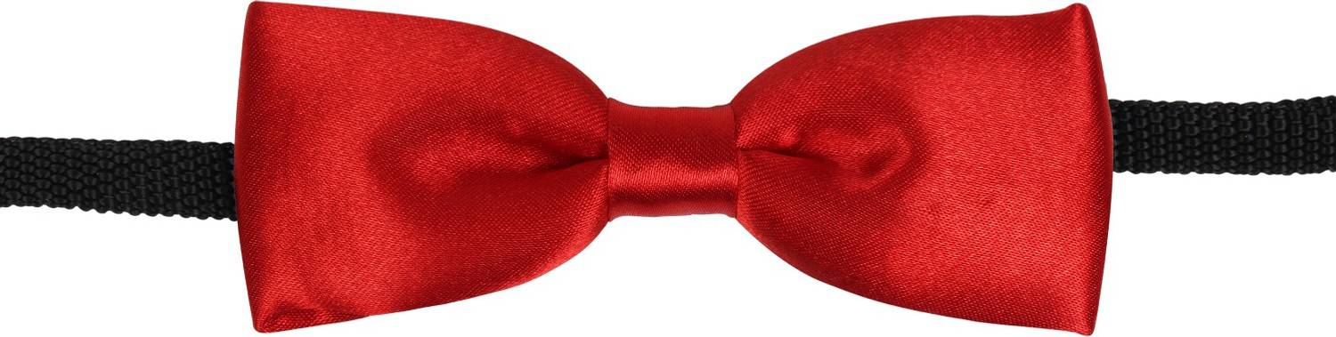 Arendelle Solid Tie