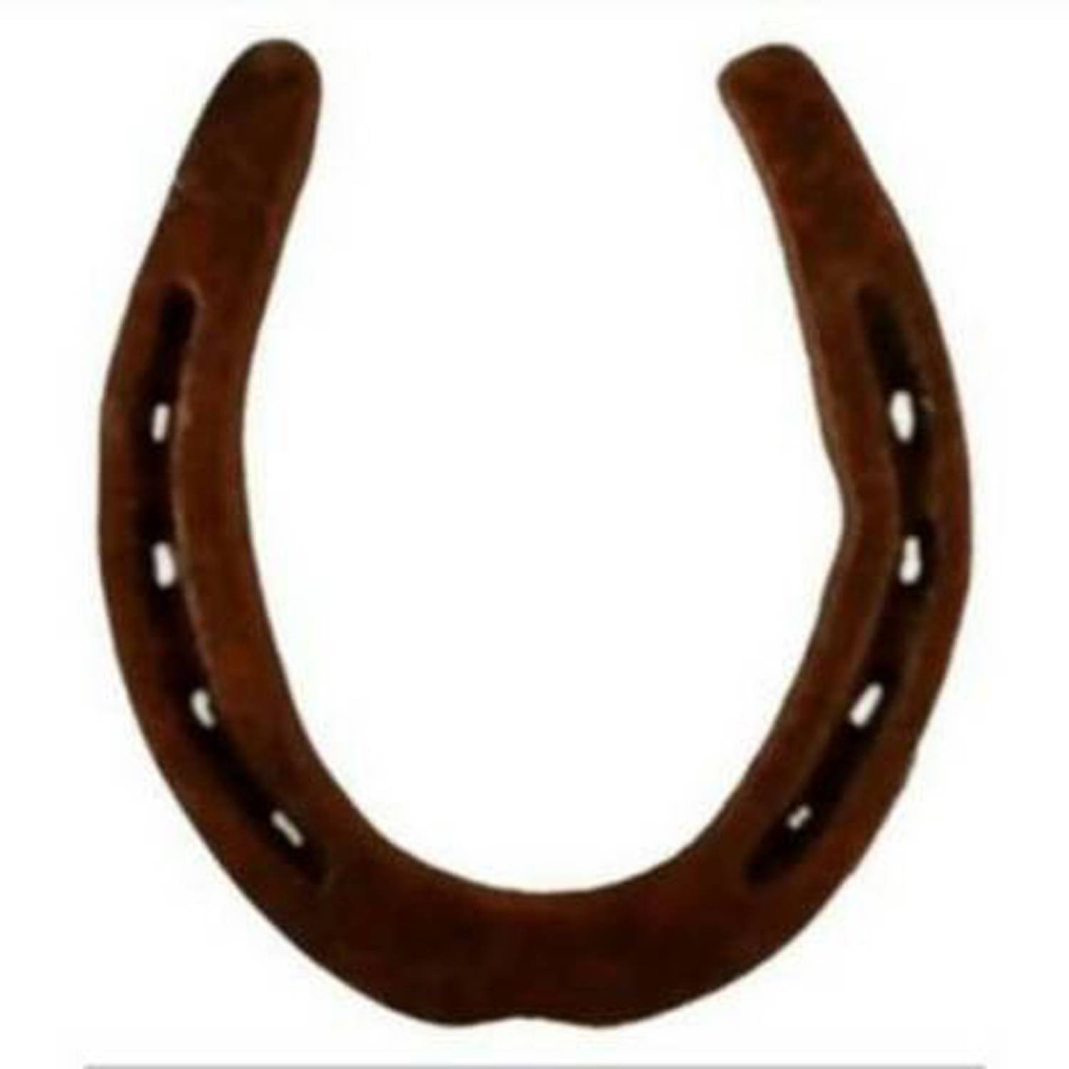 Ashnit Horse Shoe Ring