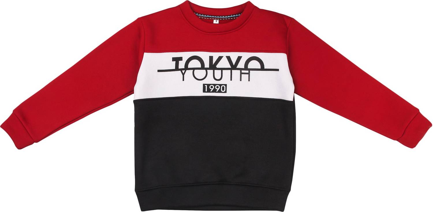 ANIXA Full Sleeve Color Block Boys & Girls Sweatshirt