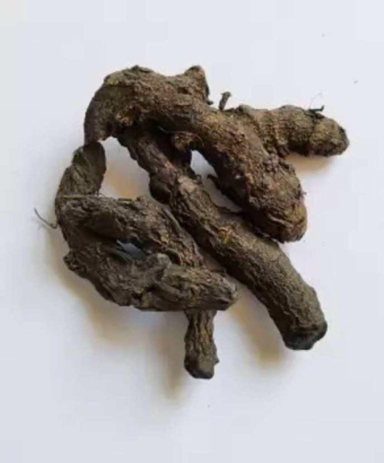 ALFA CREATIONS Kali Haldi, Black Turmeric, Plant Seed Seed