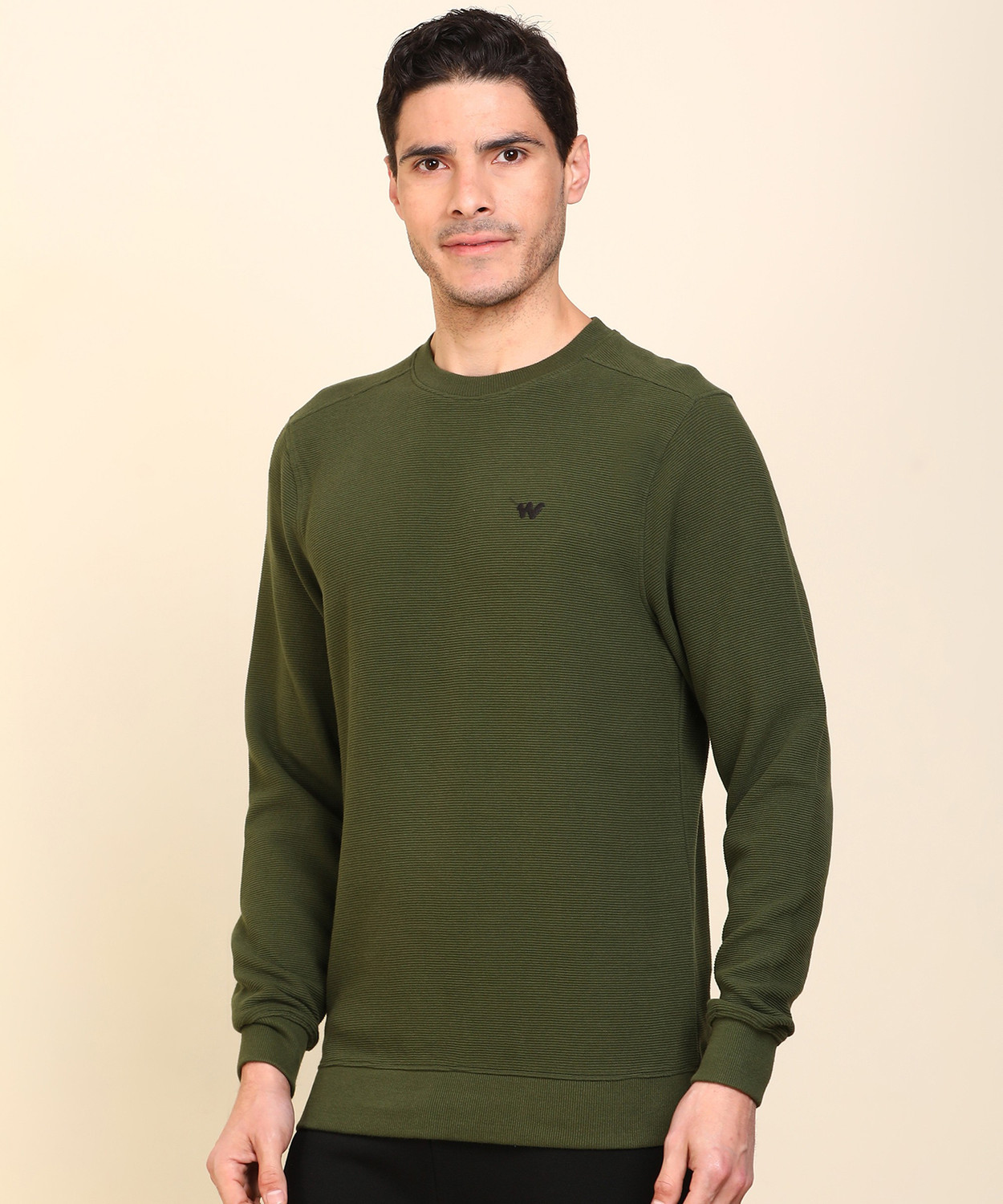 Image of Wildcraft Full Sleeve Self Design Men Sweatshirt