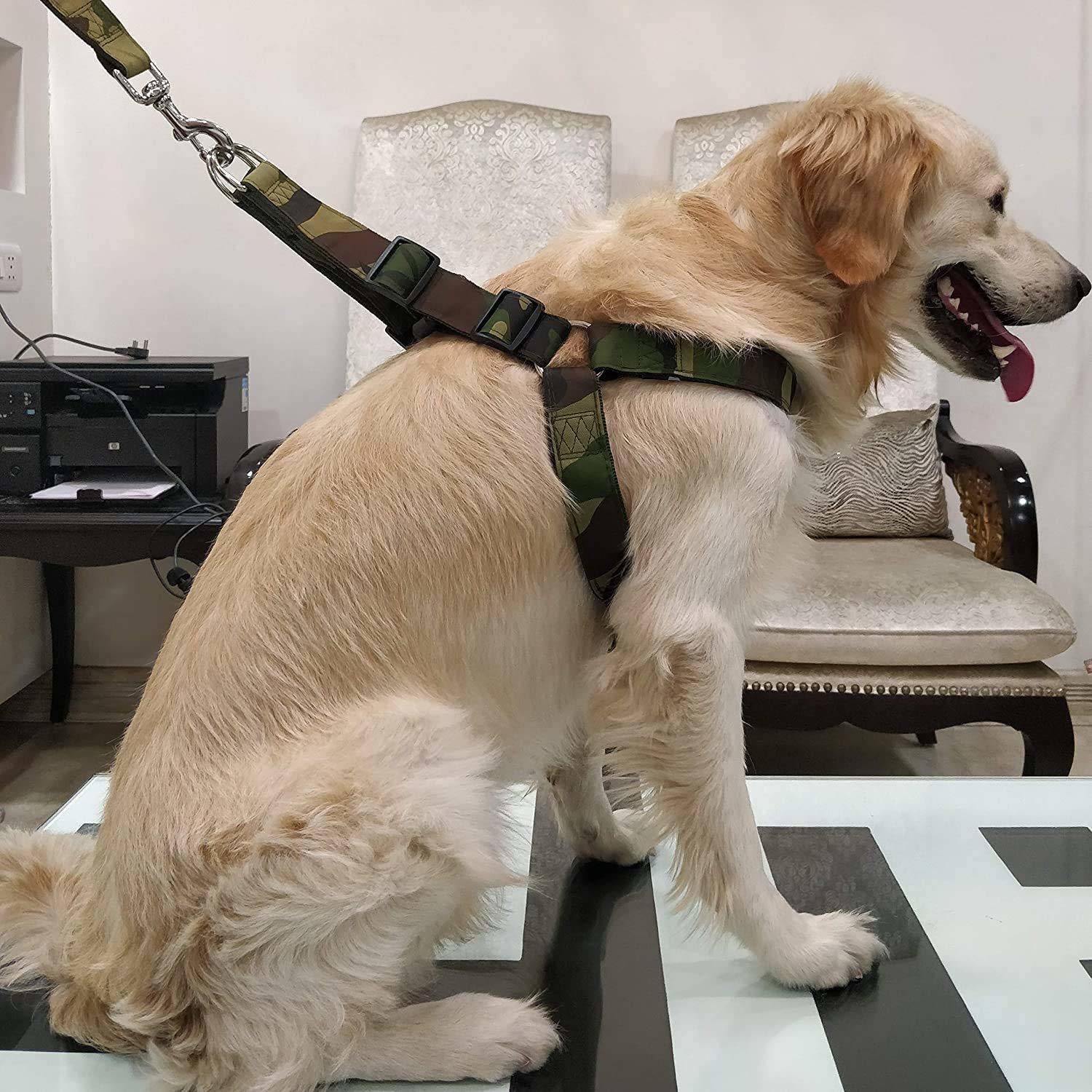 ADIOS Combo of 1.5 inch Green Military Harness Specially for Big Breed Dog Dog Harness & Leash