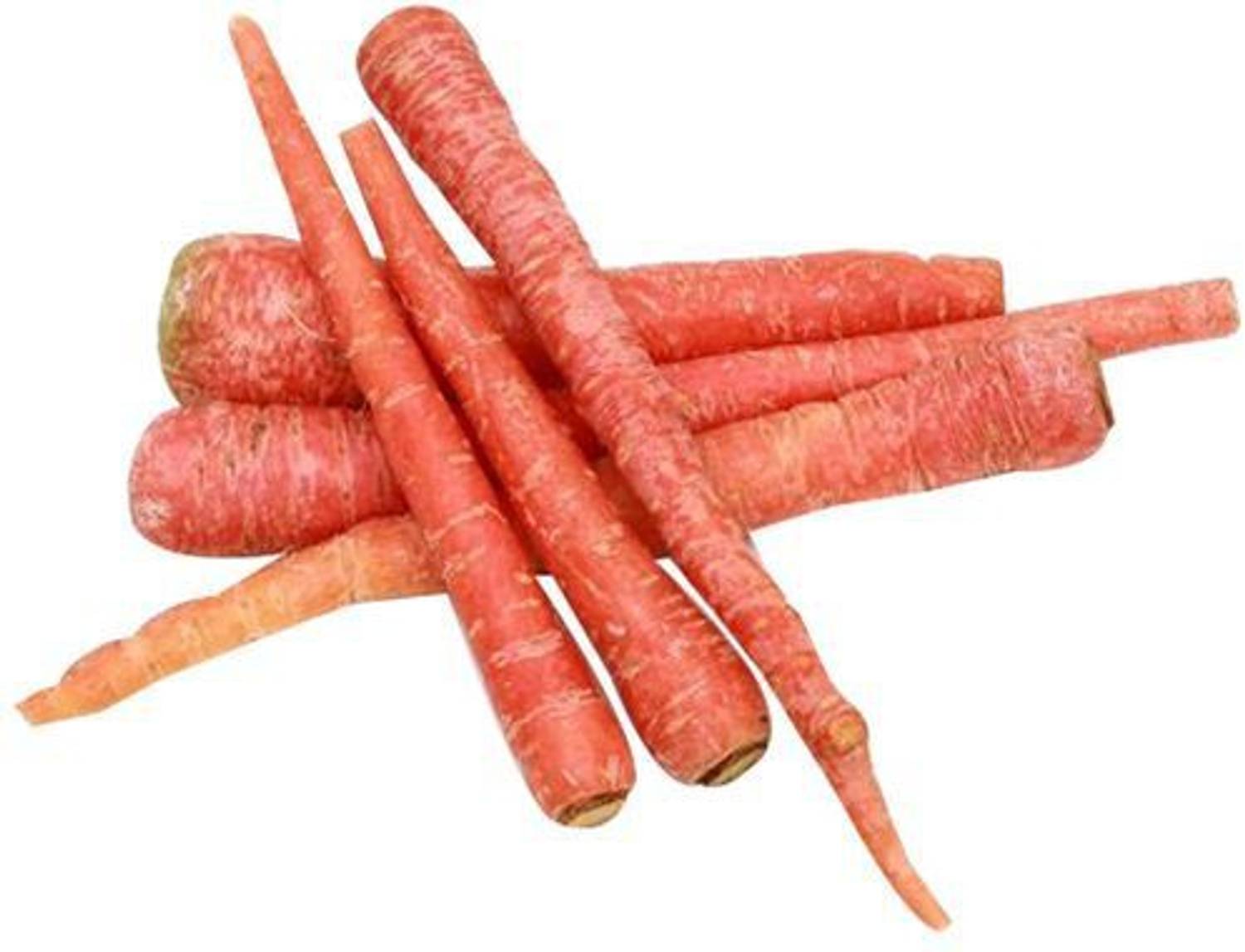 Carrot - Red