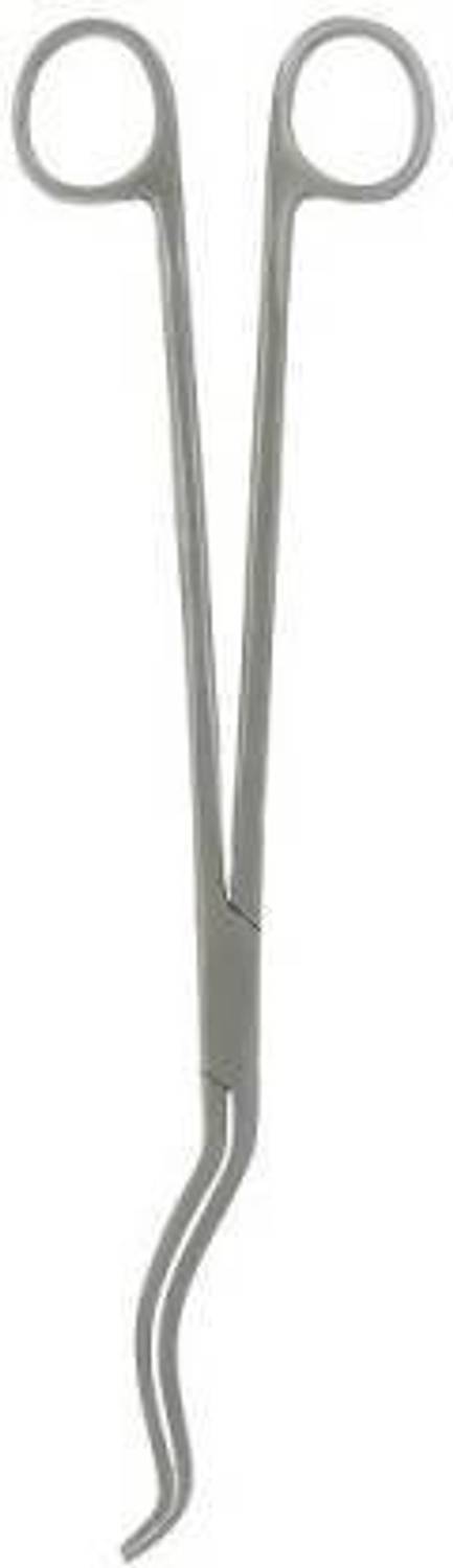 ARINEO Chital Forcep 8 inches Dressing Forceps Dressing Forceps