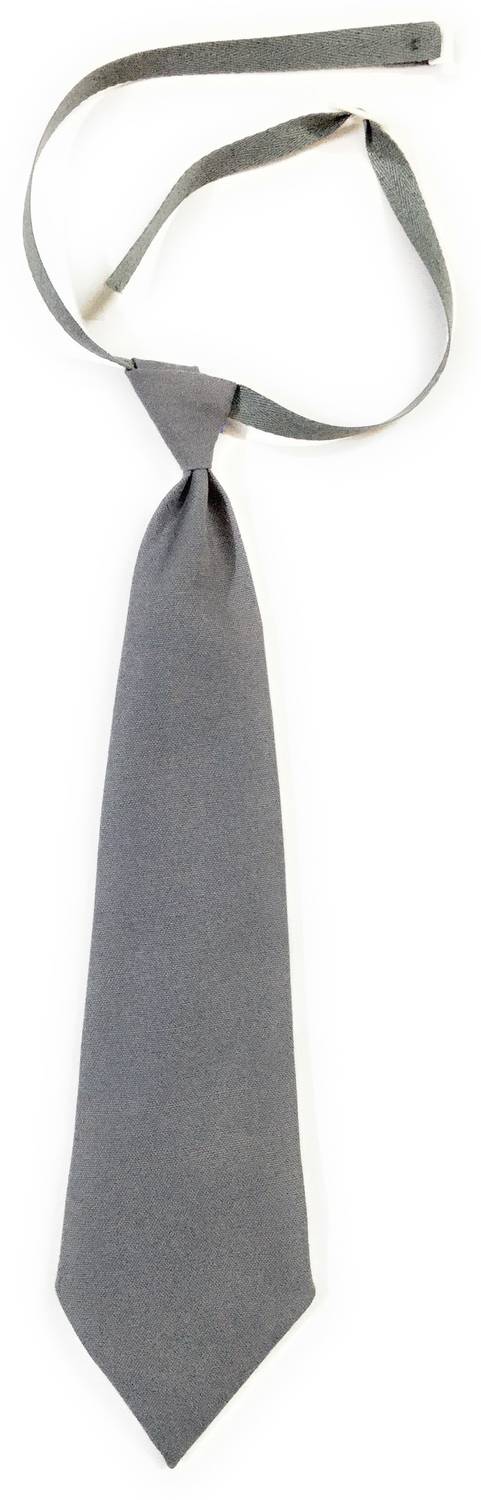 Chargeplus Grey Uniform Tie