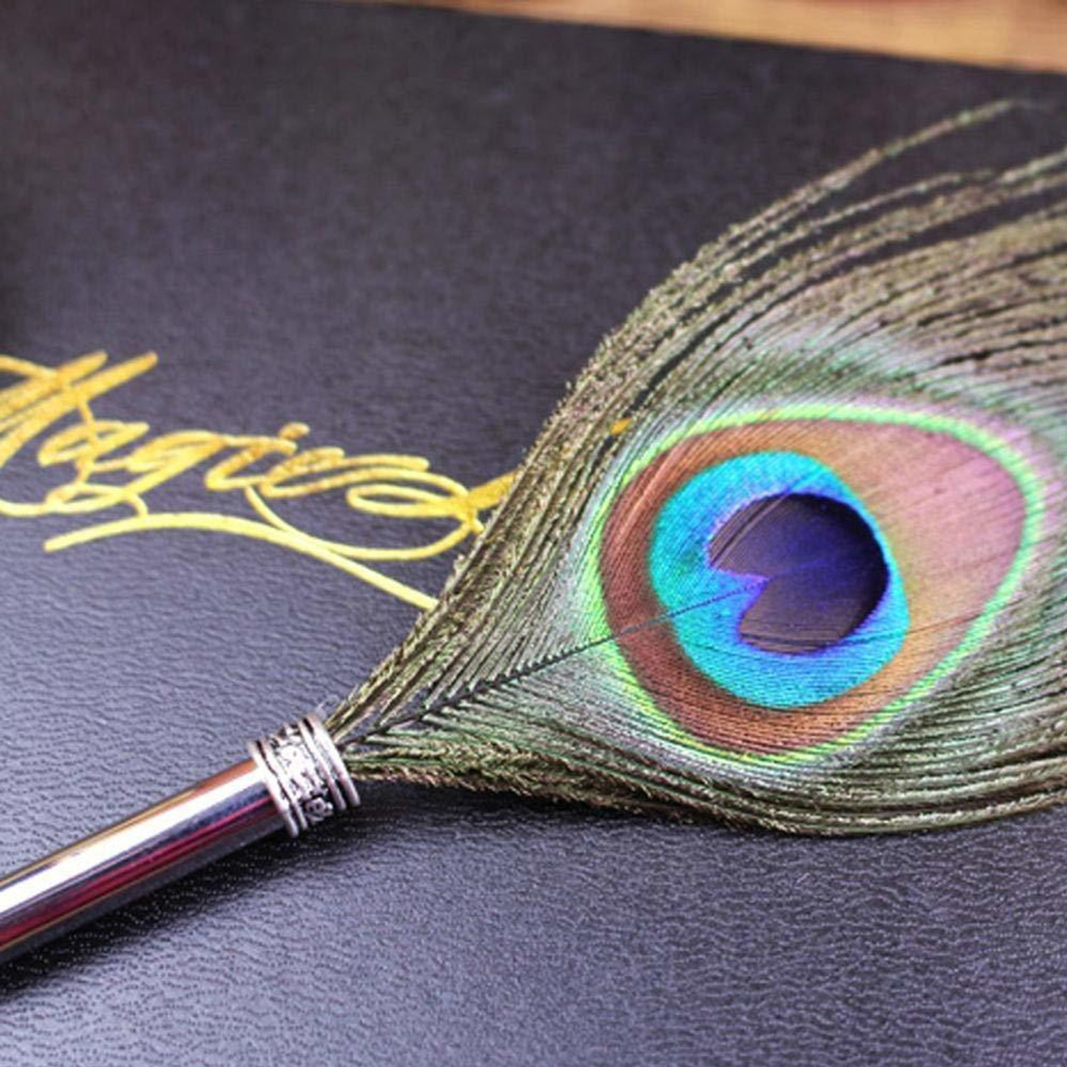 Image of izone Presents Legend Retro Style Feather Calligraphy Pen Set Writing Quill Old Fashion Peacock Feather Dip Antique Fountain Pen Kit With Ink Bottle & Iridium Tipped (Peacock Feather Pen silver) Fountain Pen