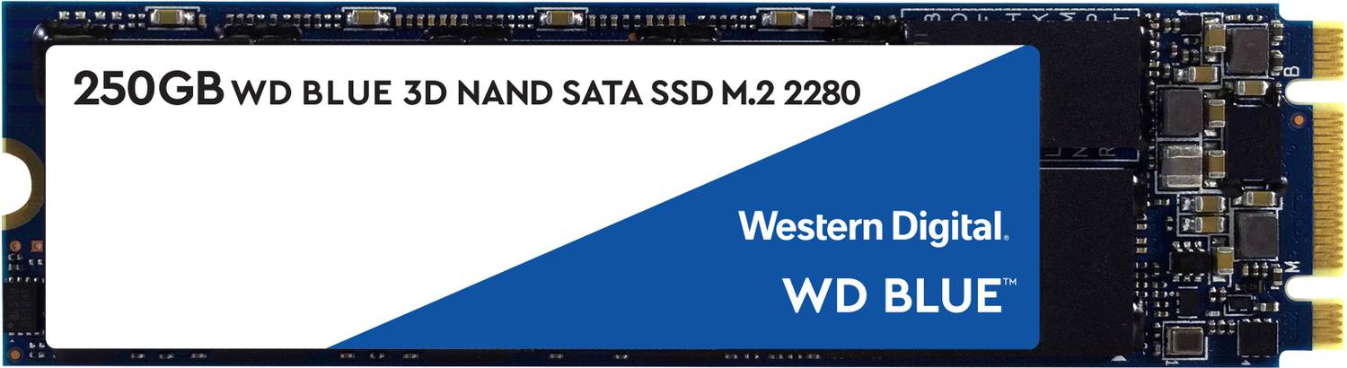 WD Blue M.2 3D 250 GB Laptop Blue M.2 Internal Solid State Drive