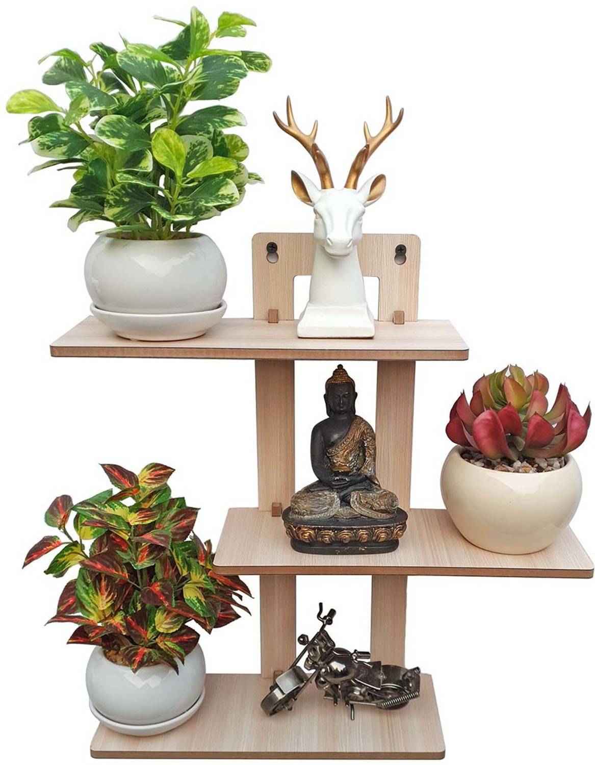 7CR Engineered Wood Open Book Shelf