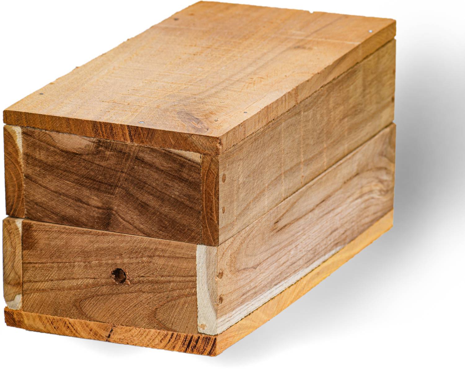 Agri Dot Bug Box
