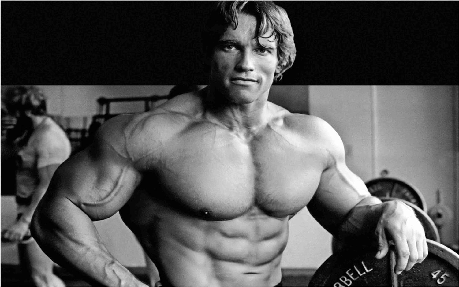 Arnold Schwarzenegger Wall Poster For Room With Gloss Lamination M23 Paper Print
