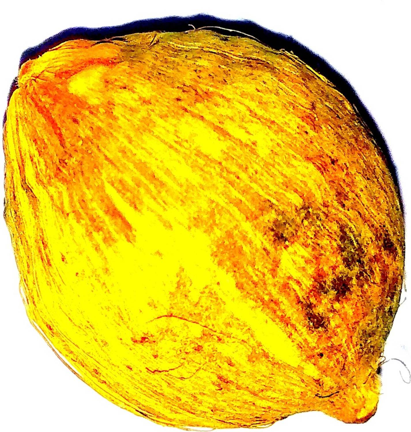 Anshika International Shreephal/Laghu Nariyal/Mini Coconut