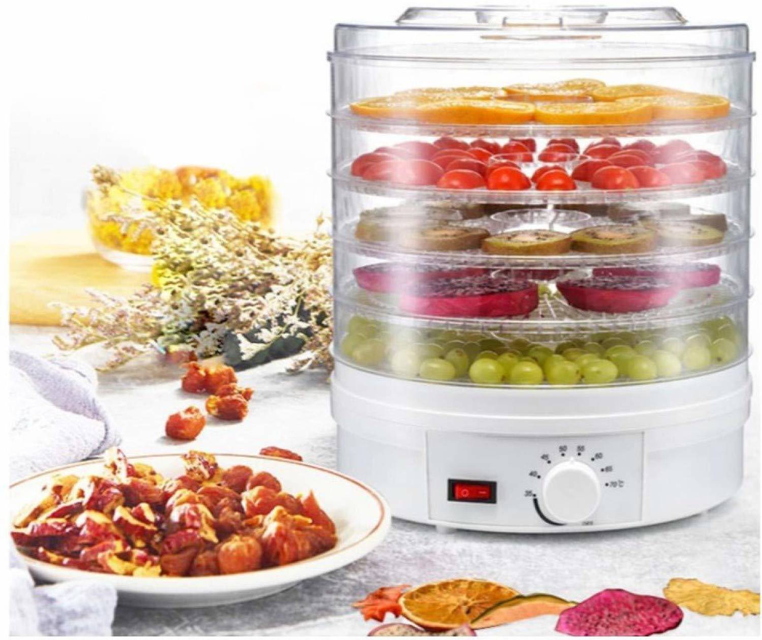 VICHAXAN Plastic Electric Countertop Food Dehydrator, Preserver Jerky Maker 350 W Food Processor — Food Processors & Choppers