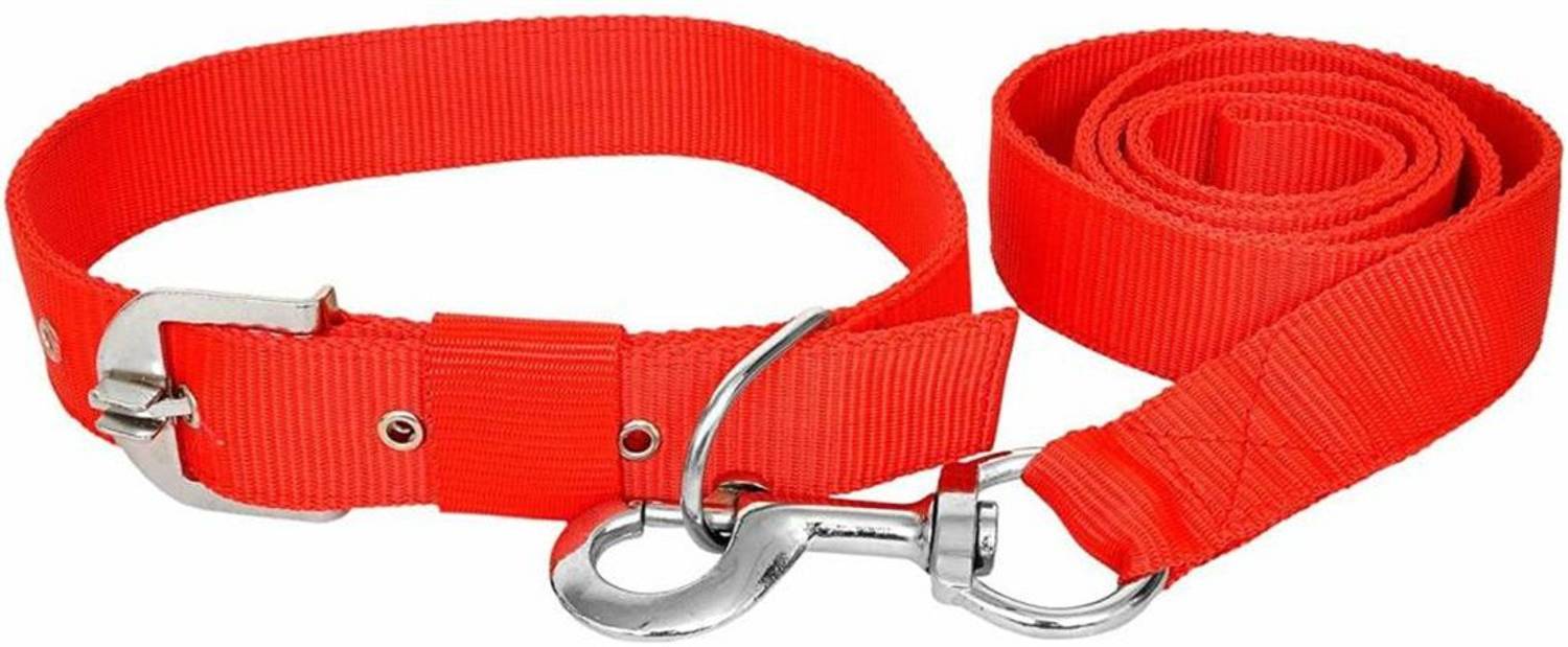 ALCAZAR ALC270 Nylon Collar and Leash Set for Medium Dogs - Like Labrador, Golden Retriever 1 inch Dog Collar & Leash