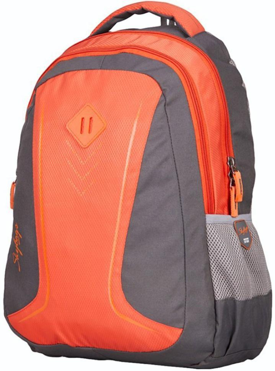 Image of SKYBAGS FOOTLOOSE LEO 5 25 L Backpack