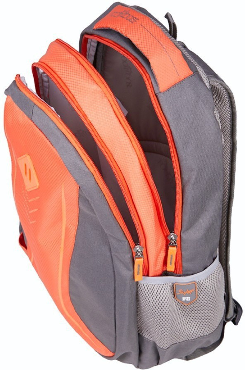 Image of SKYBAGS FOOTLOOSE LEO 5 25 L Backpack