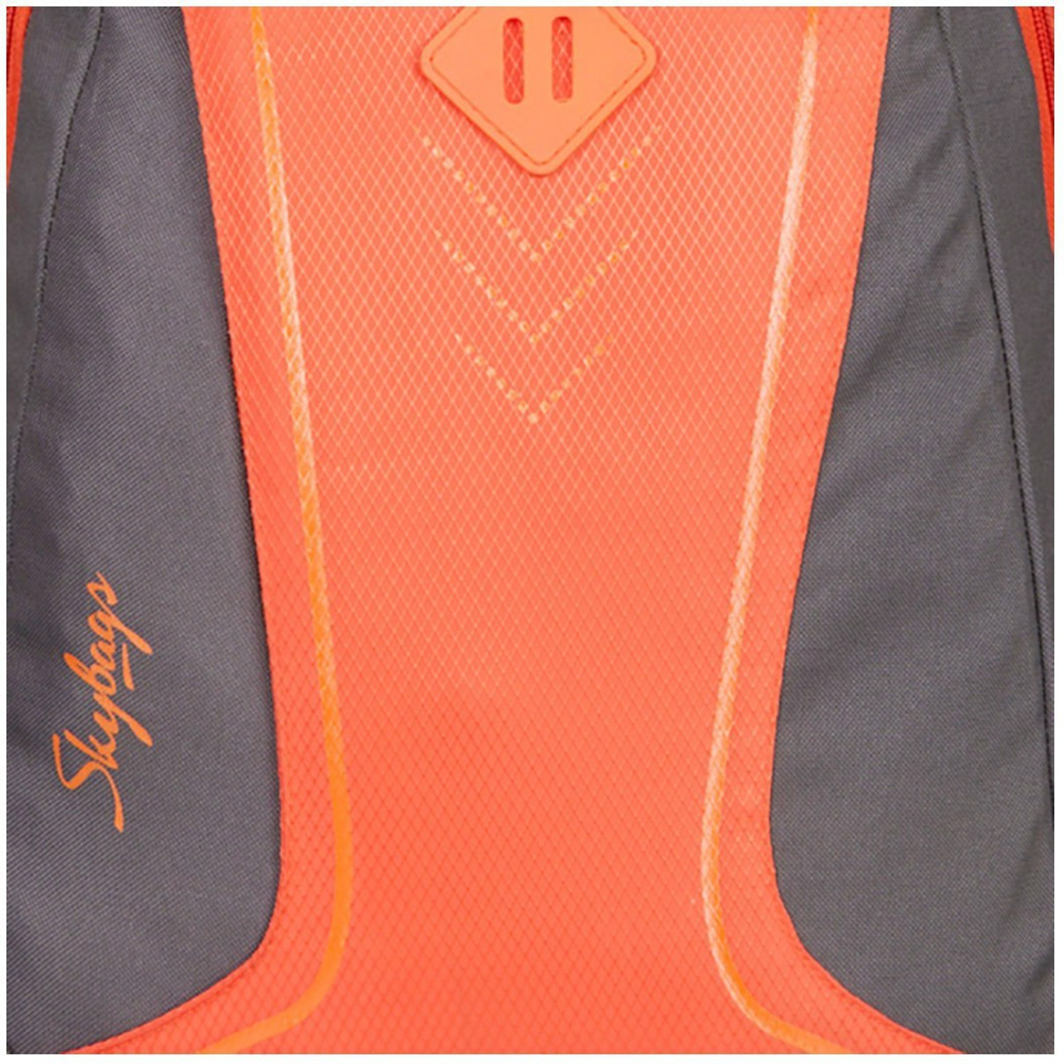 Image of SKYBAGS FOOTLOOSE LEO 5 25 L Backpack