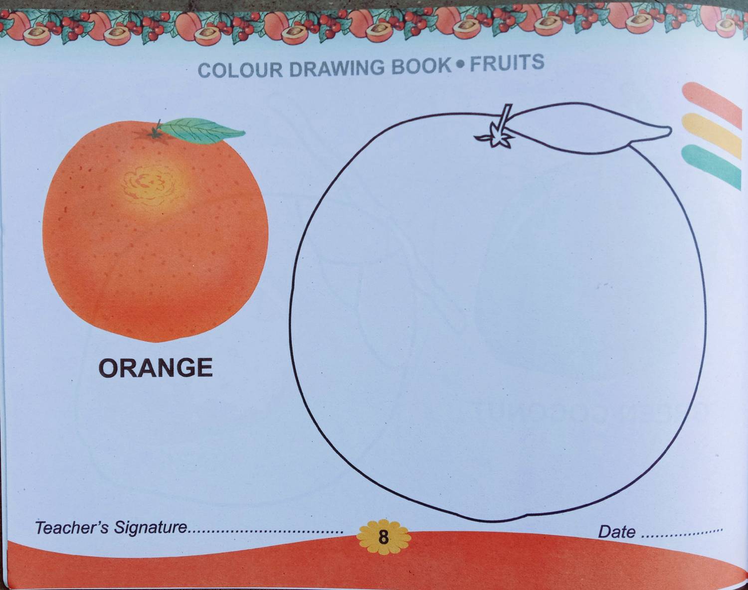 orange fruit images for kids