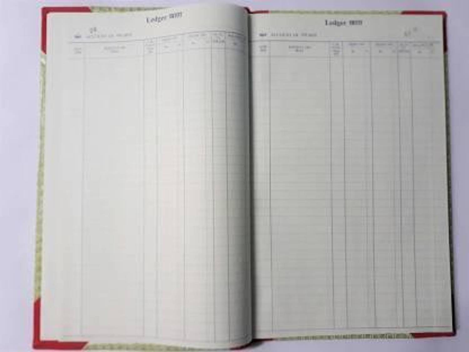 buyeasy A4 LEDGER BOOK WITH 220 PAGES LEDGER BOOK 220 PAGES 1-Part LEDGER BOOK