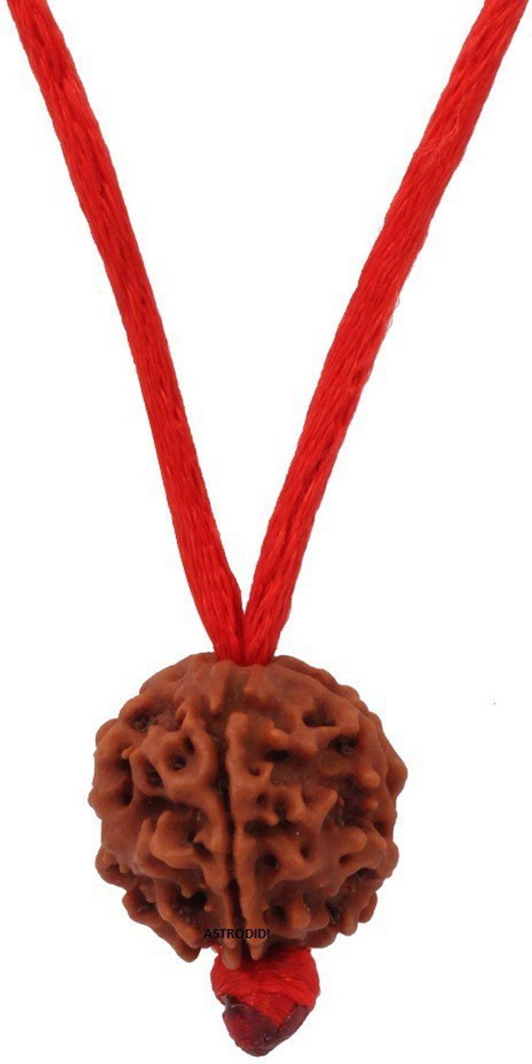 3SIX5 5 Mukhi Rudraksha / Five Face Rudraksha With Lab Certificate Wood Pendant