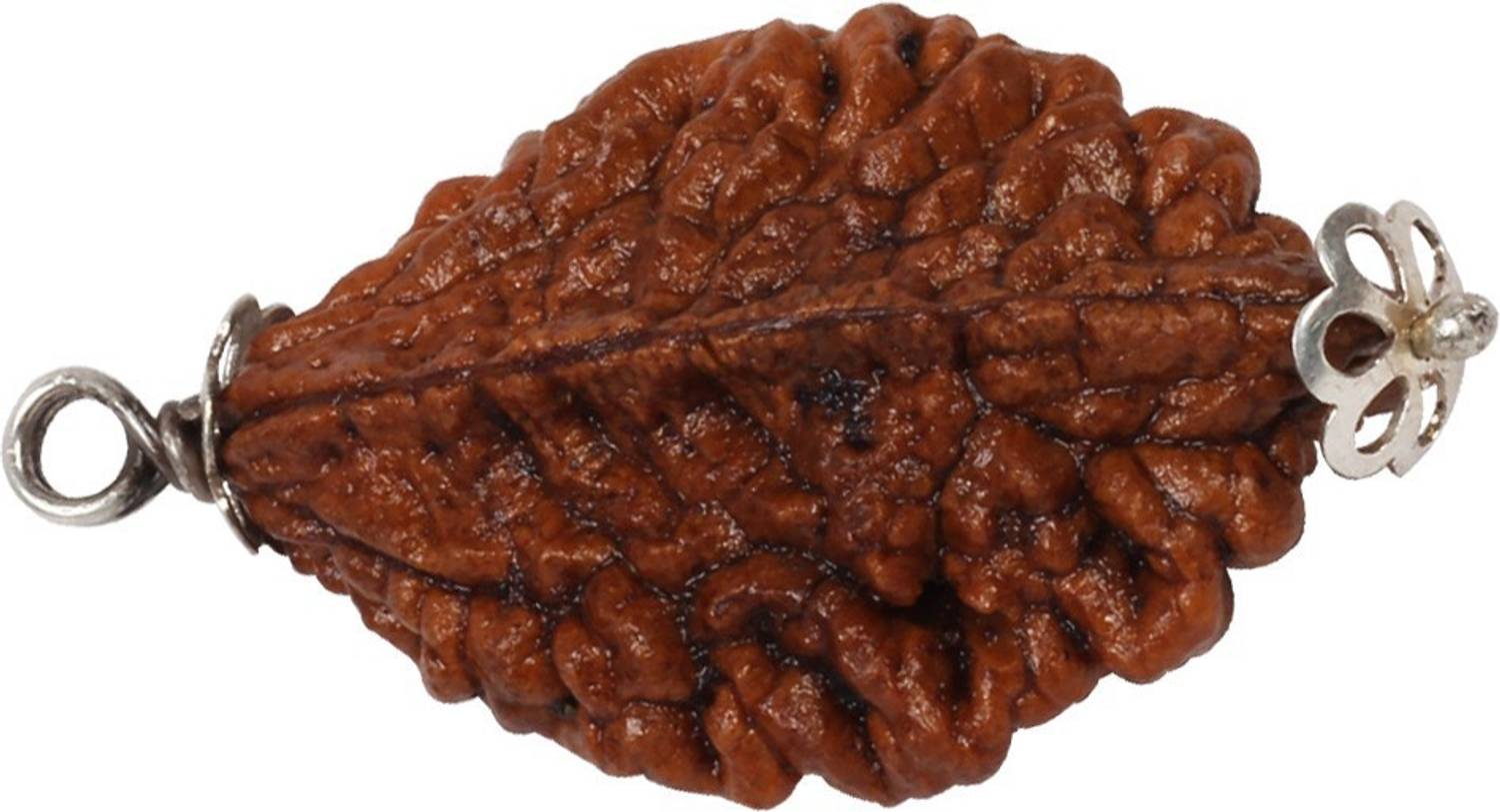 3SIX5 2 Mukhi Rudraksha Two Face Pendant With Lab Certificate Silver Coated Wood Pendant
