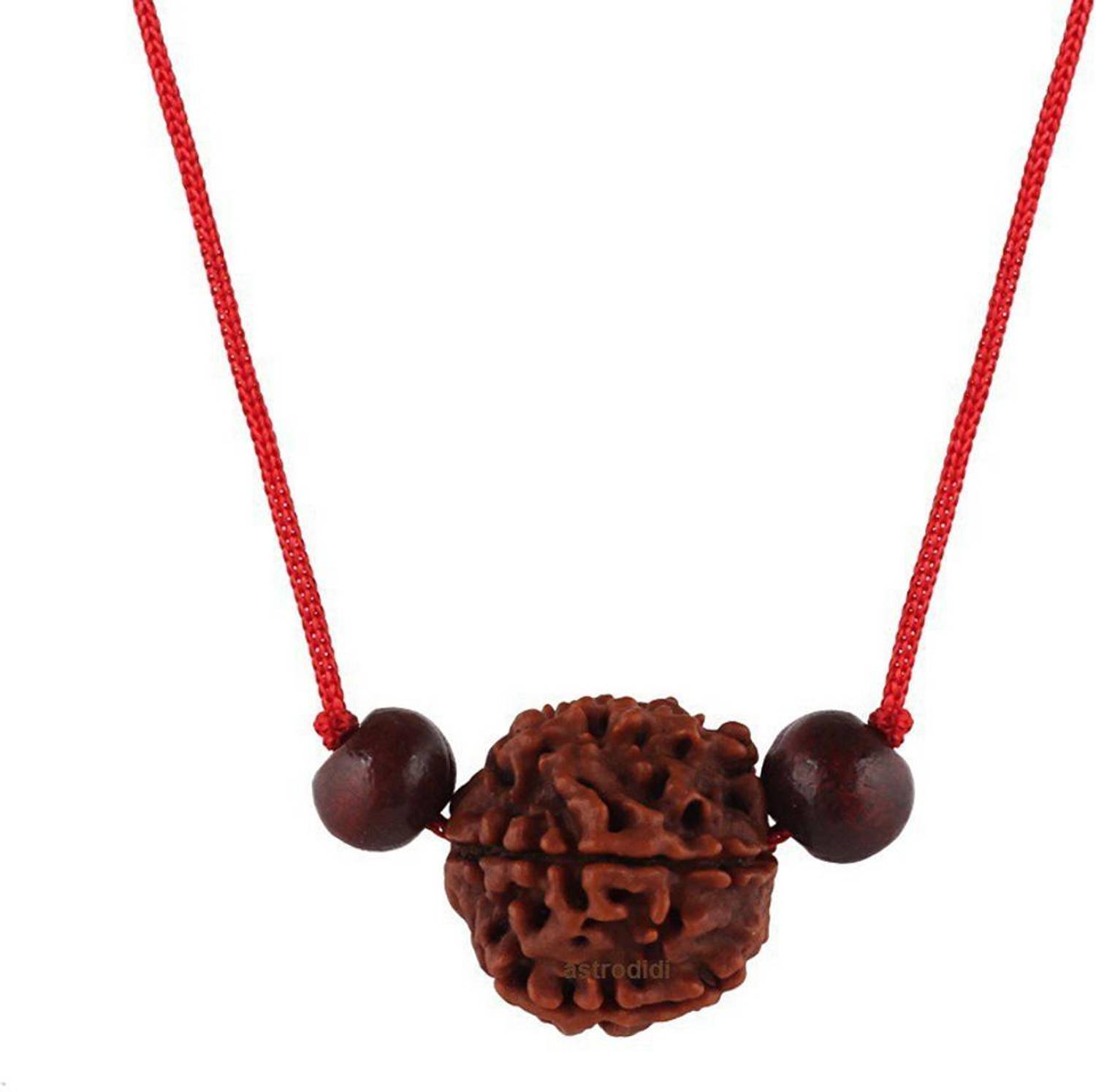 3SIX5 4 Mukhi Rudraksha / Four Face Rudraksha With Red Chandan Beads Wood Pendant