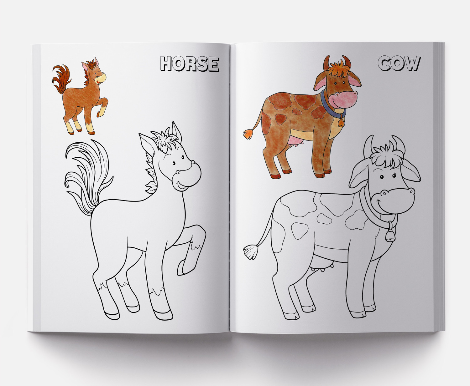 Image of Colouring Book of Animals - By Miss & Chief