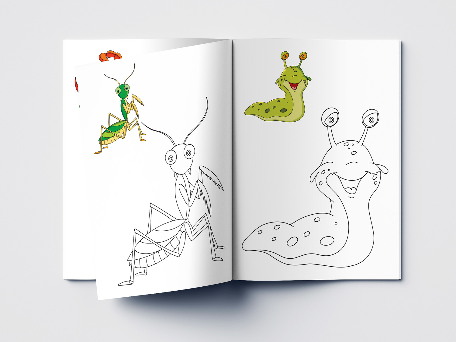 Image of Little Artist Series Insects - By Miss & Chief