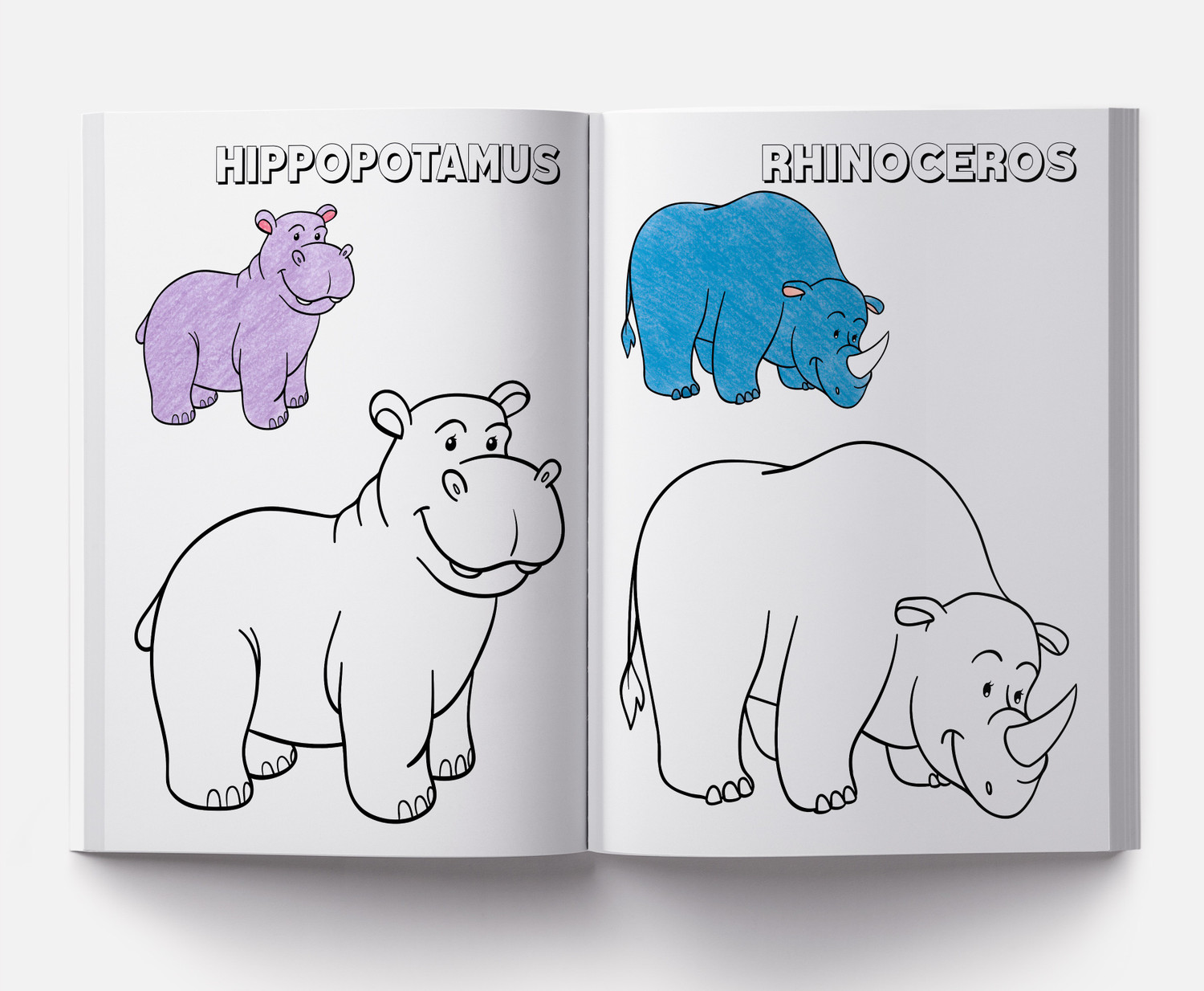 Image of Colouring Book of Animals - By Miss & Chief