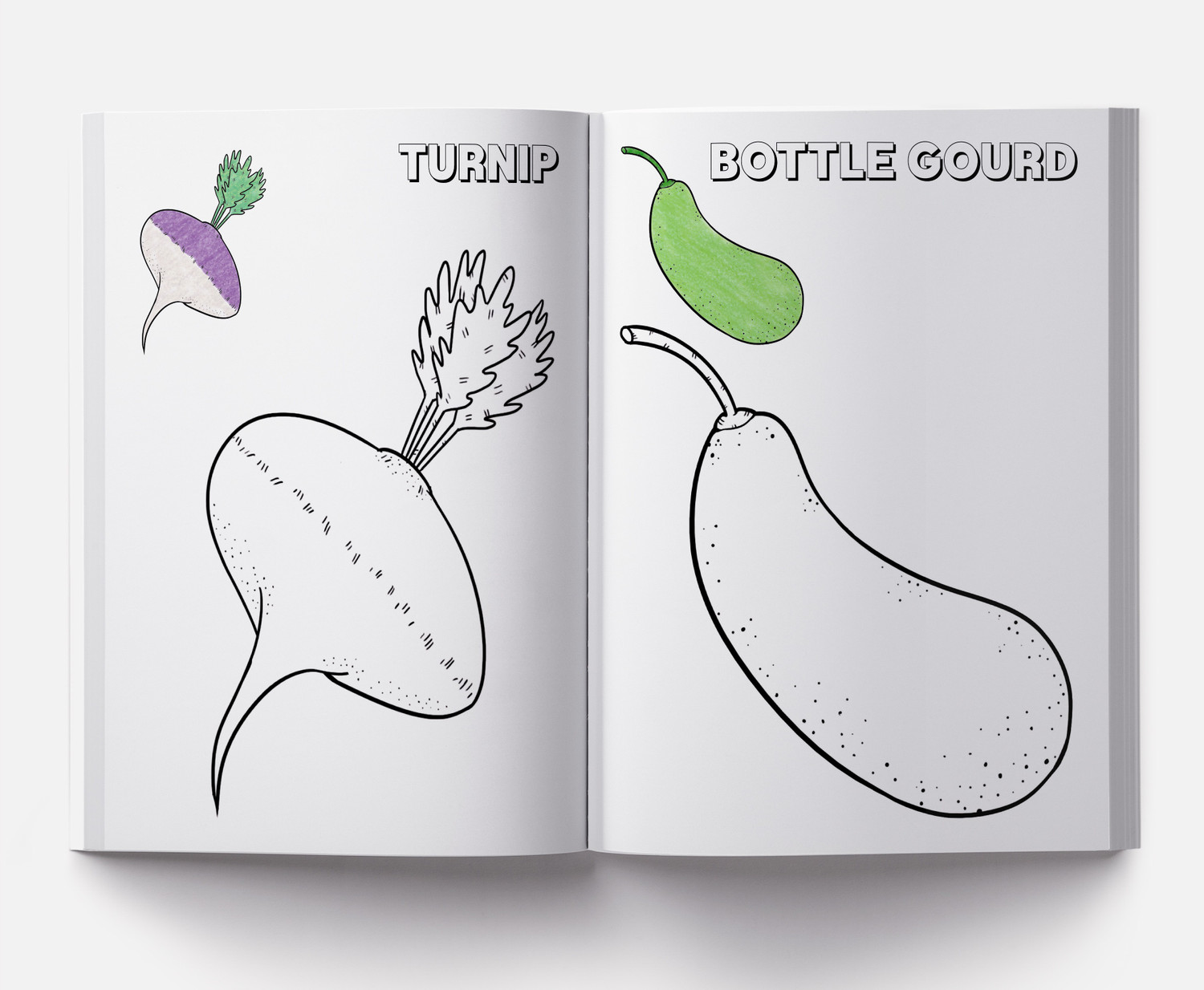 Image of Colouring Book of Vegetables - By Miss & Chief