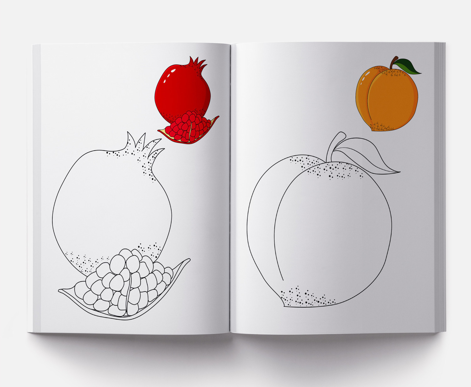 Image of Little Artist Series Fruits - By Miss & Chief