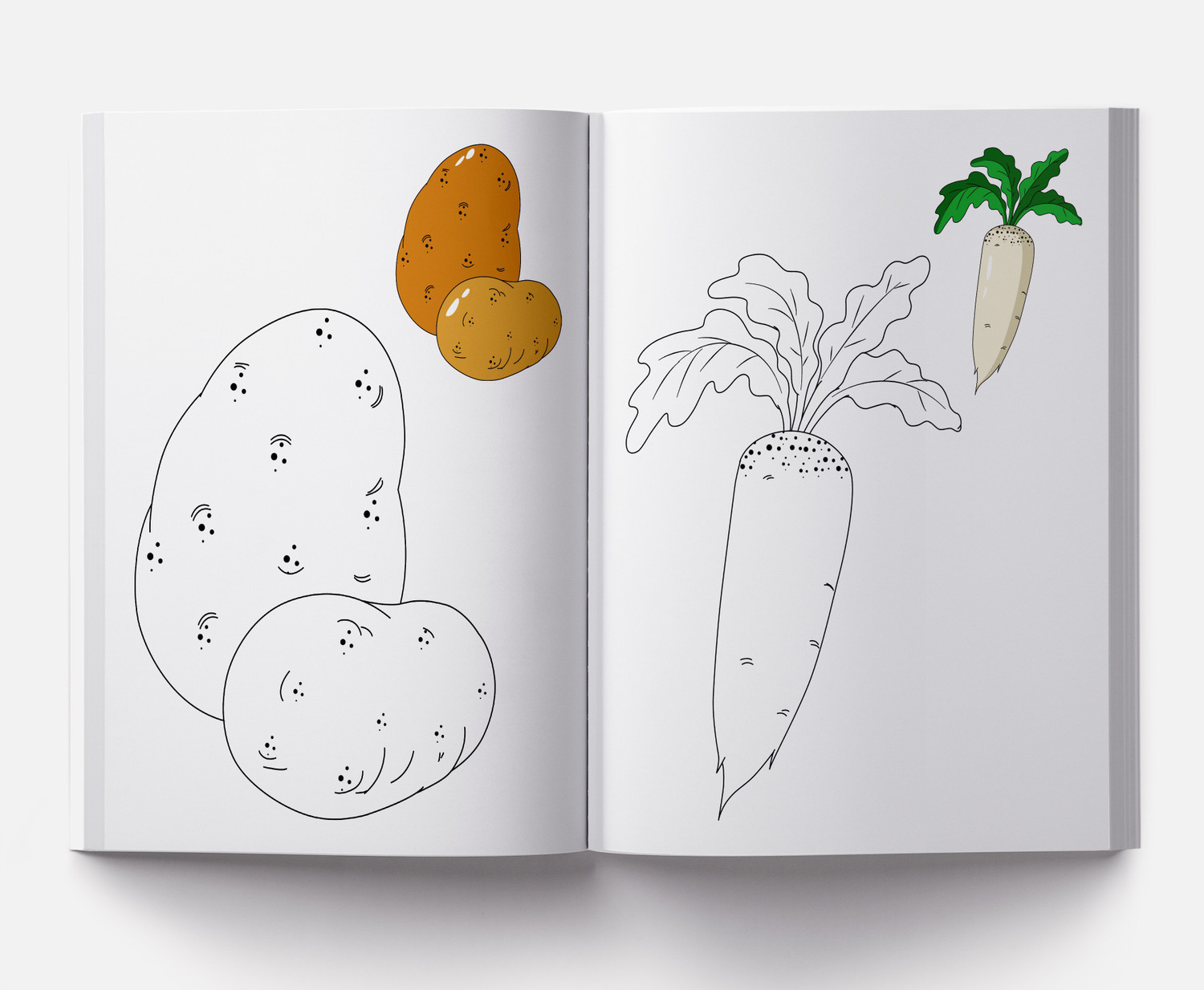 Image of Little Artist Series Vegetables - By Miss & Chief