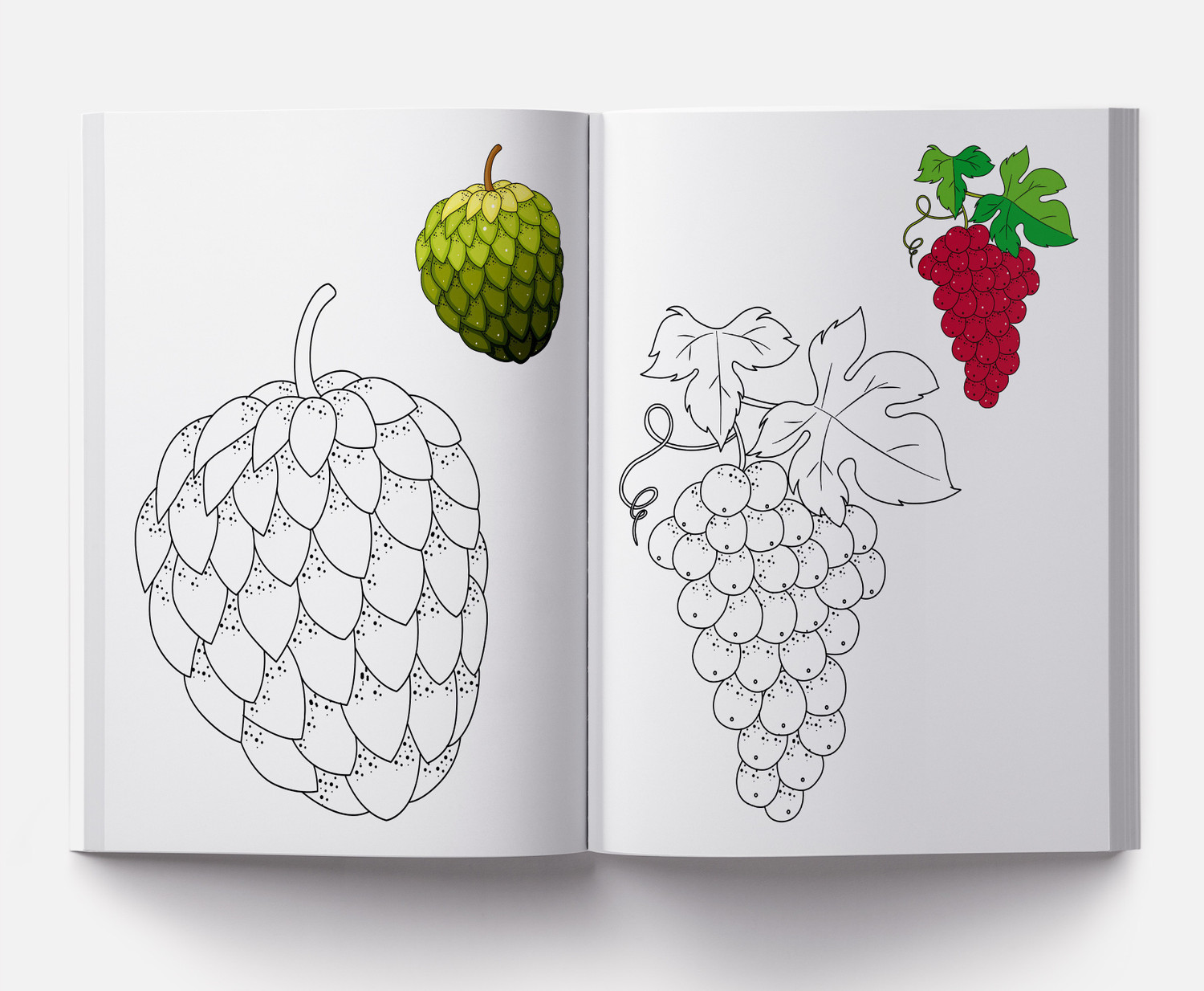 Image of Little Artist Series Fruits - By Miss & Chief