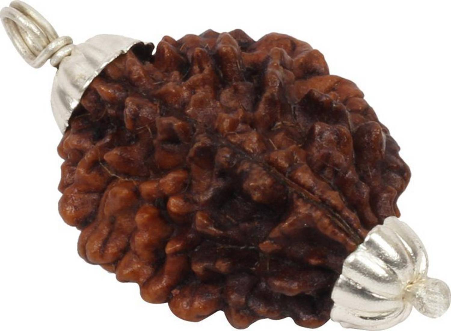 3SIX5 2 Mukhi Rudraksha Two Face Pendant Silver Coated Original and Certified Wood Pendant