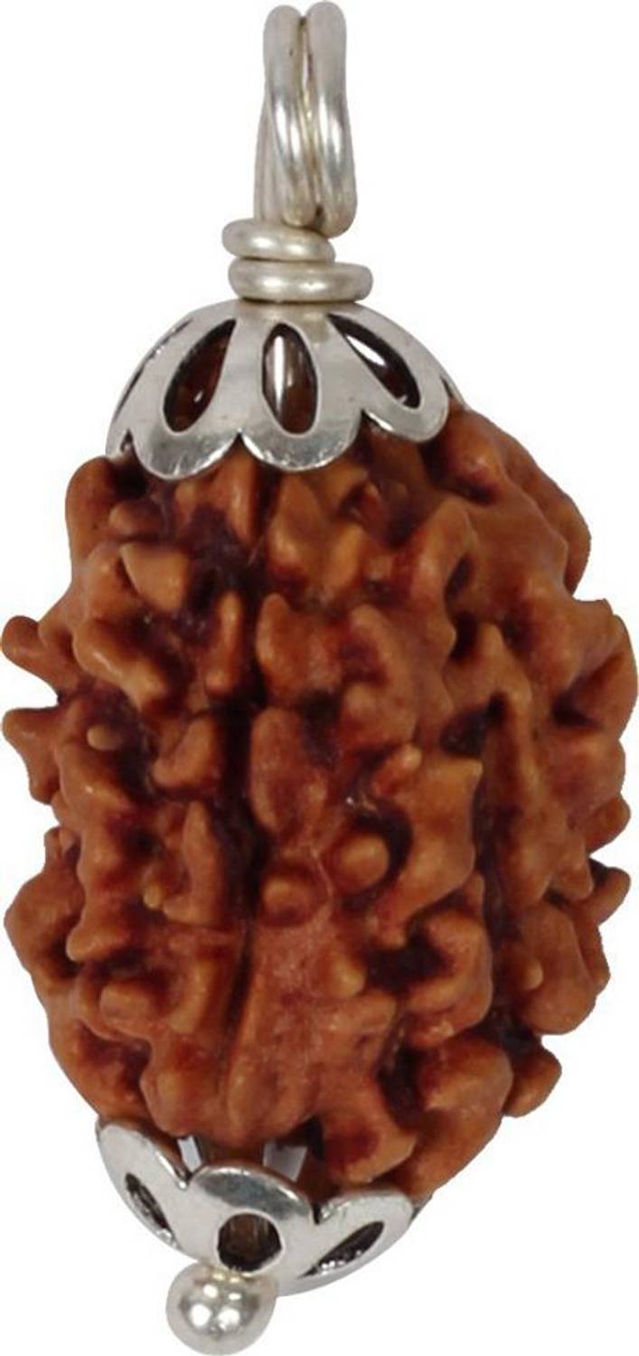 3SIX5 3 Mukhi (Three Face) Rudraksha Pendant with Lab Certificate Silver Wood Pendant