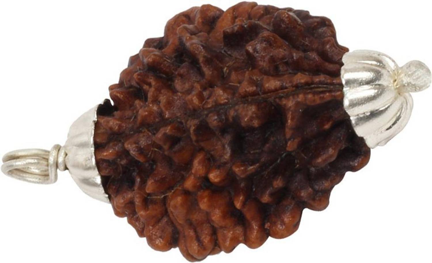 3SIX5 2 Mukhi Two Face Rudraksha Pendant With Lab Certificate Wood Pendant