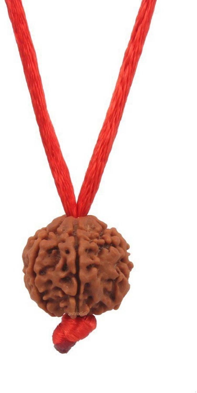 3SIX5 6 Mukhi Rudraksha / Six Face Rudraksha Pendant with Lab Certificate Wood Pendant