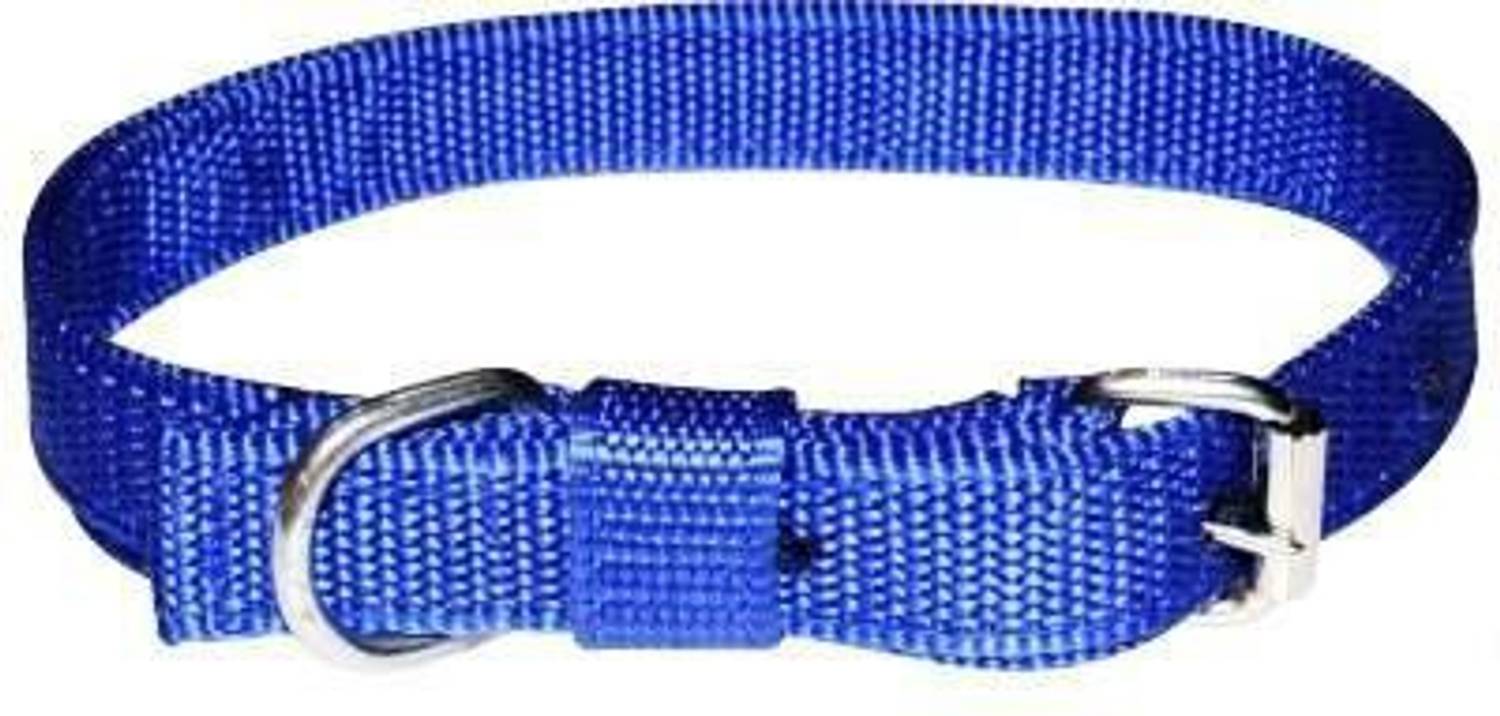 ANIKH Dog Everyday Collar