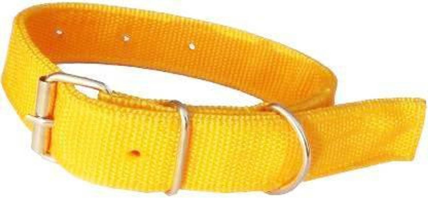 ANIKH Dog Everyday Collar