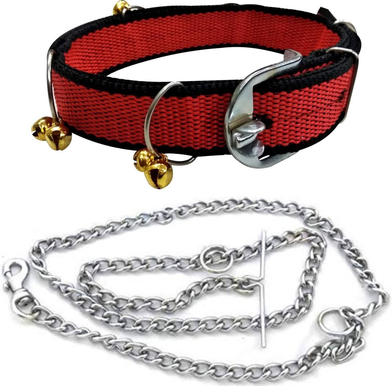 BODY BUILDING Dog Collar & Chain