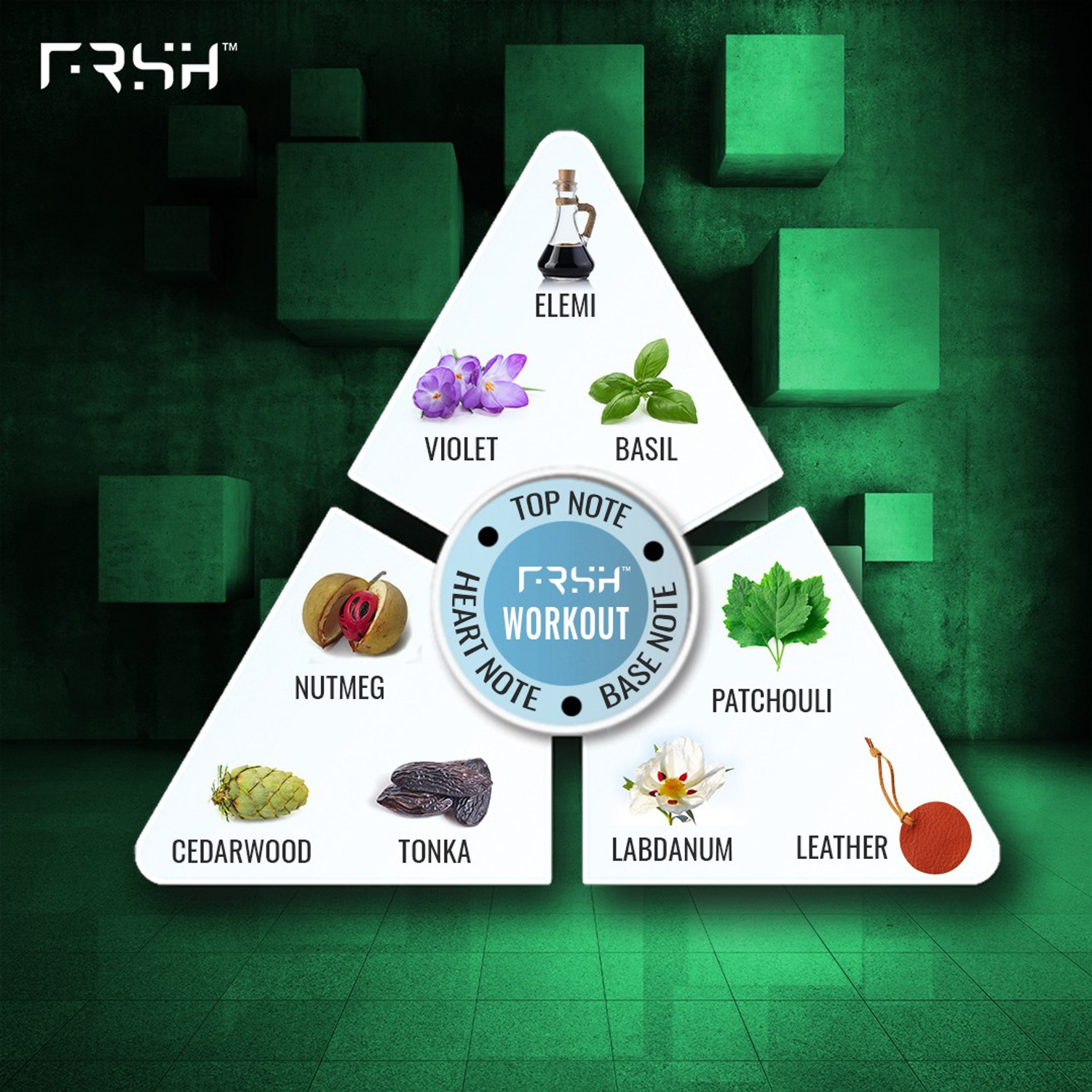 Image of Frsh By Salman Khan Eau De Toilette Workout 30ml Eau de Toilette - 30 ml (For Men)
