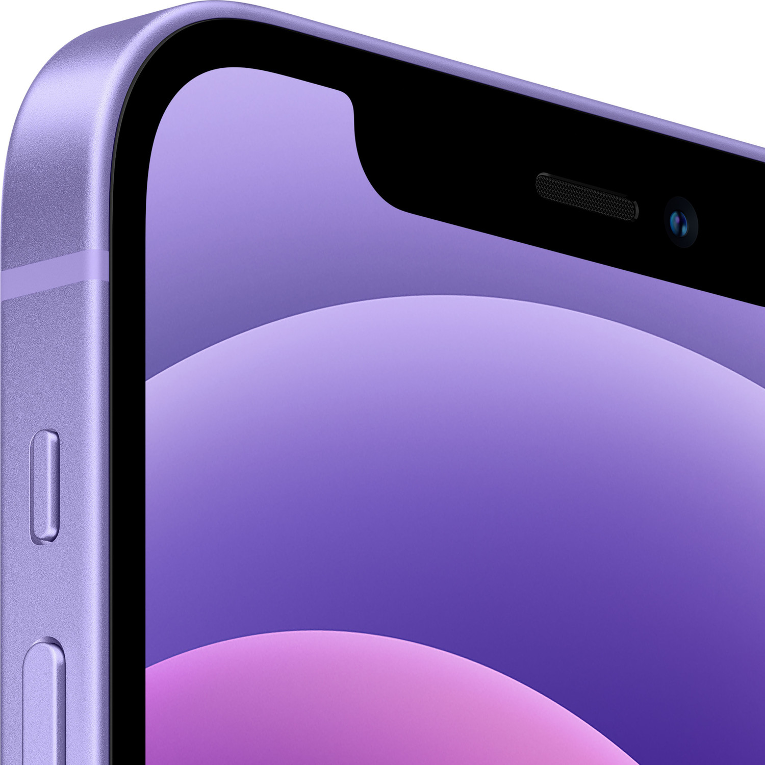 Image of Apple iPhone 12 (Purple, 64 GB)