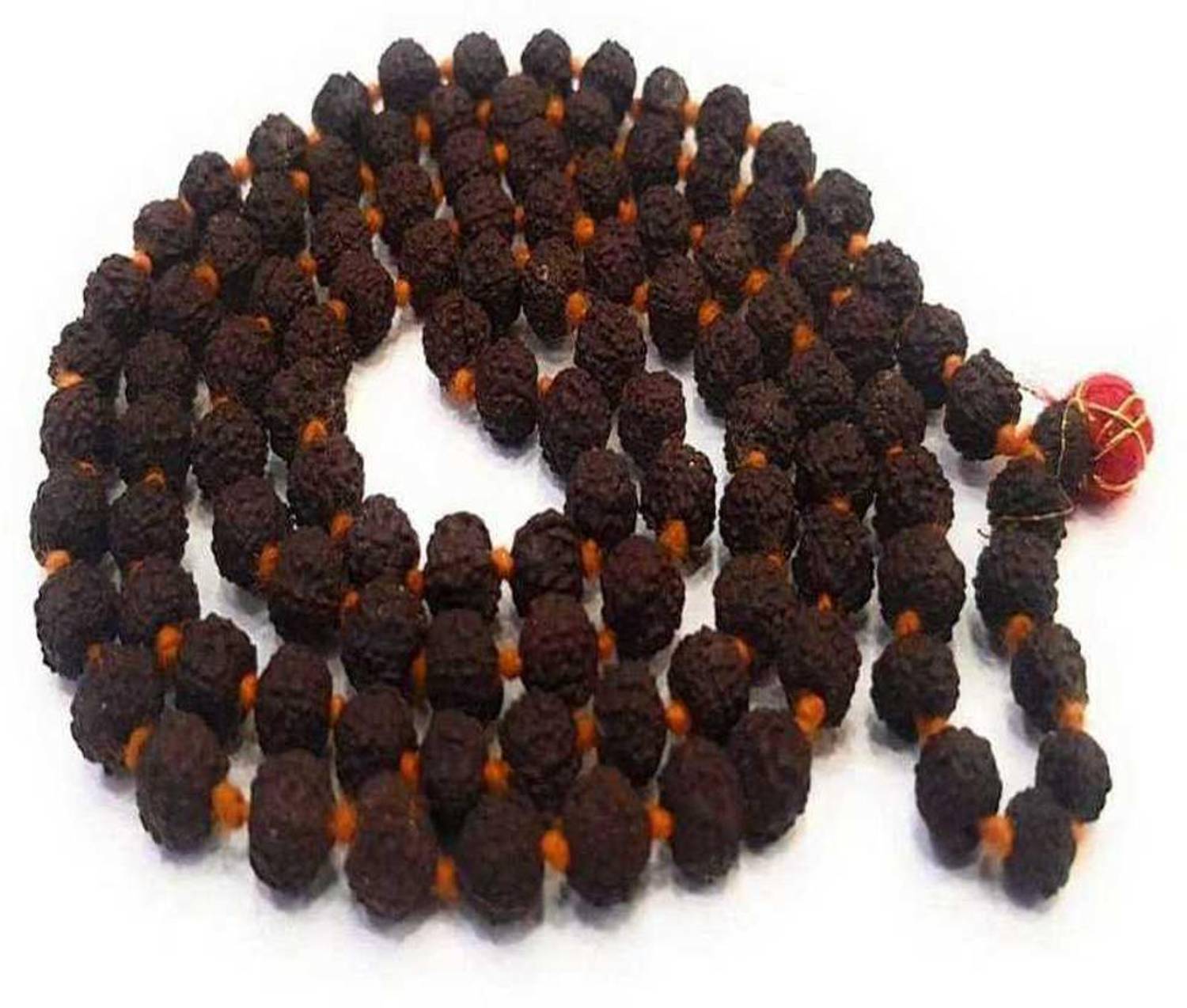 Aurra Stores 5 Mukhi Rudraksh Mala (Black) (LAB CERTIFIED) Brass Plated Brass Necklace