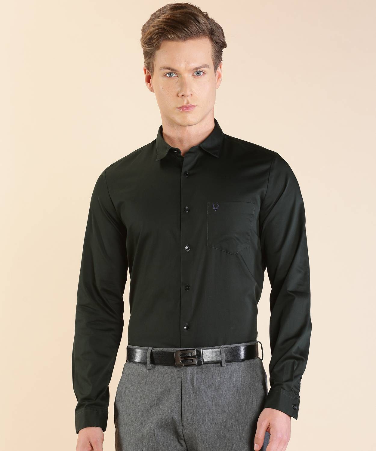 Allen Solly Men Solid Formal Dark Green Shirt