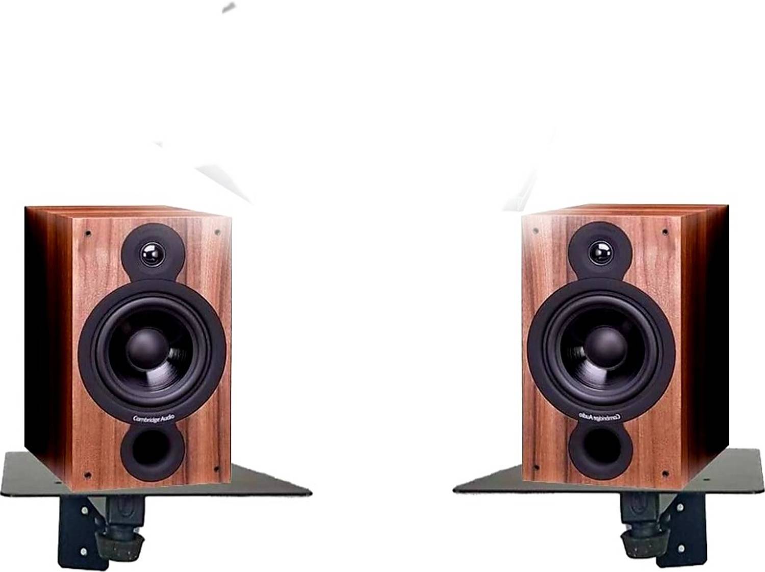 audiovan Speaker & Woofer Wall Mount Speaker Mount